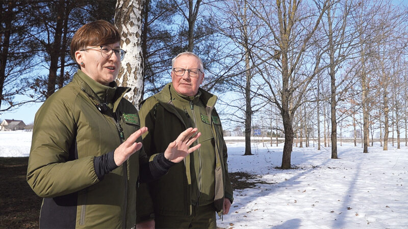 Valstybinės miškų urėdijos Kretingos regioninis padalinio miškininkė Gražina Banienė ir Grūšlaukės girininkijos girininkas Ignas Kripas rajone įvardino, kad kasmet rajone yra iškeliame apie 400 inkilų. 